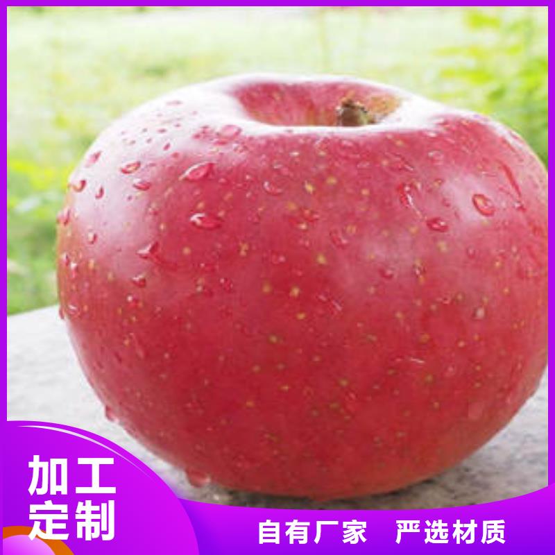 红富士苹果原厂制造