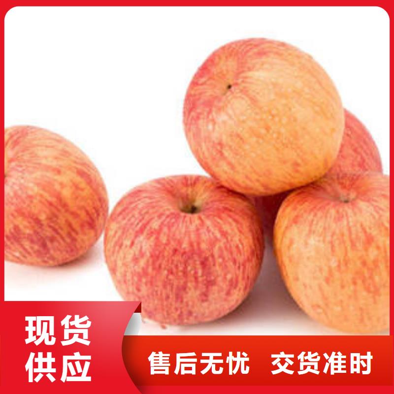 红富士苹果-嘎啦苹果工厂批发