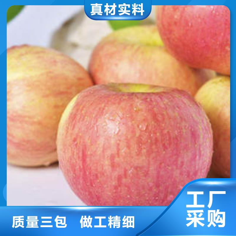 红富士苹果视频-黑龙江省佳木斯市|同江|东风|齐齐哈尔|大庆|牡丹江|哈尔滨|绥化|大兴安岭红富士苹果-景才