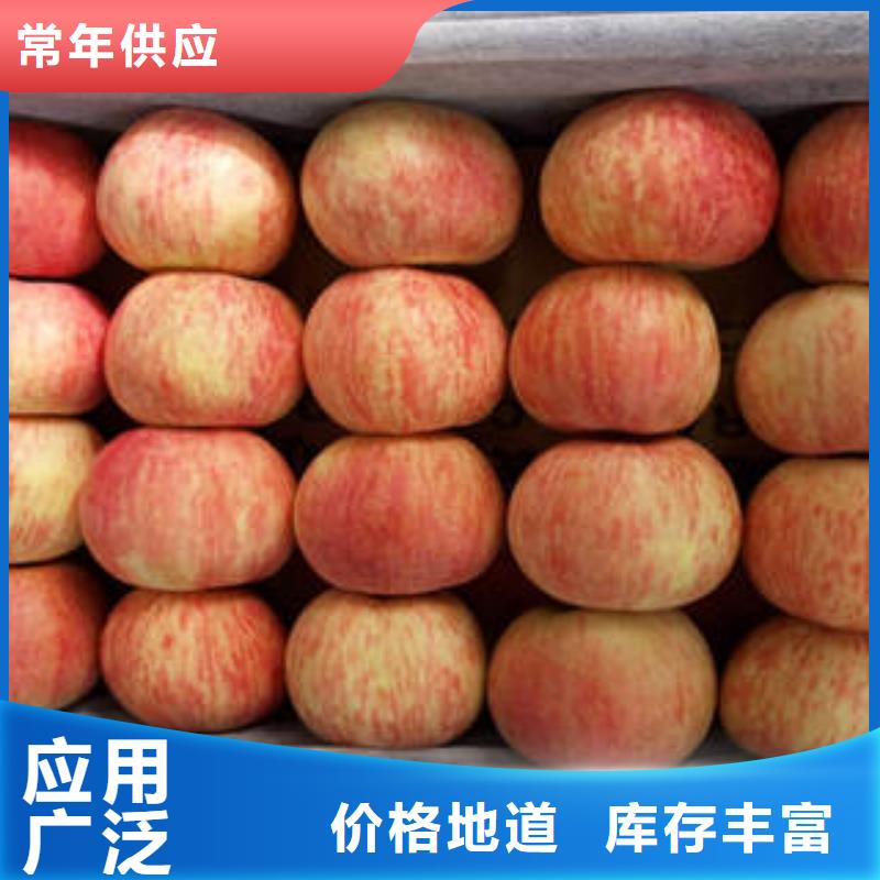 红富士苹果视频-红富士苹果|广东省肇庆市|四会|怀集|潮州|广州|韶关|云浮