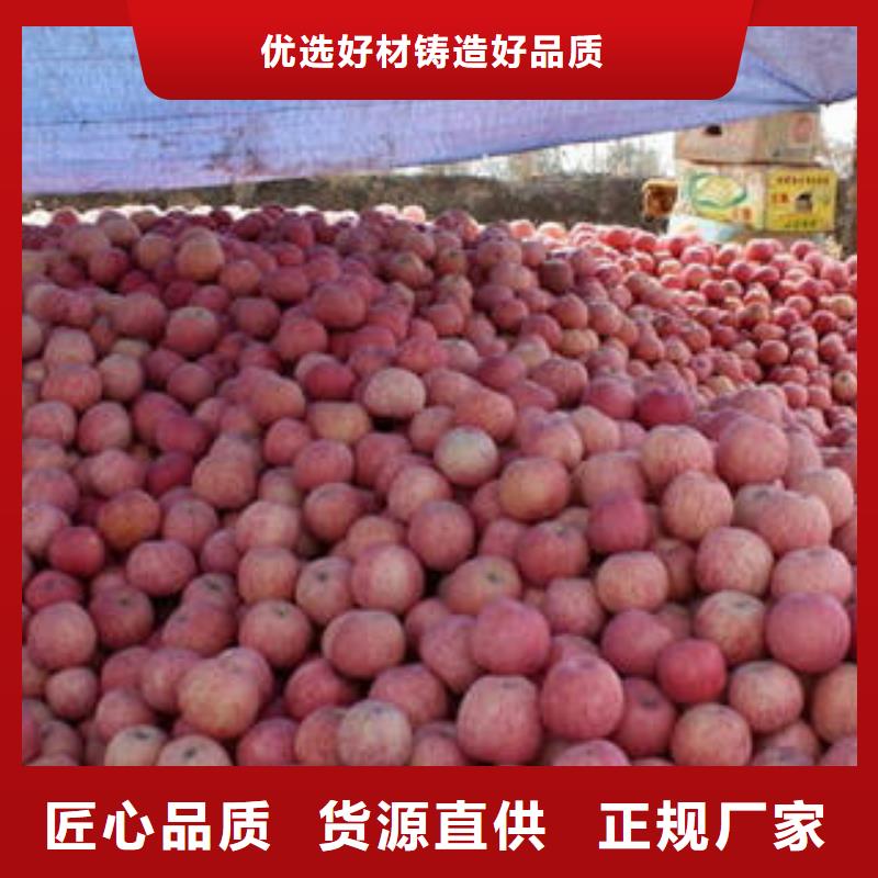 红富士苹果苹果当地货源