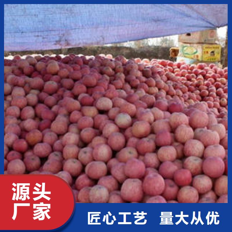 红富士苹果视频-红富士苹果|广东省肇庆市|四会|怀集|潮州|广州|韶关|云浮