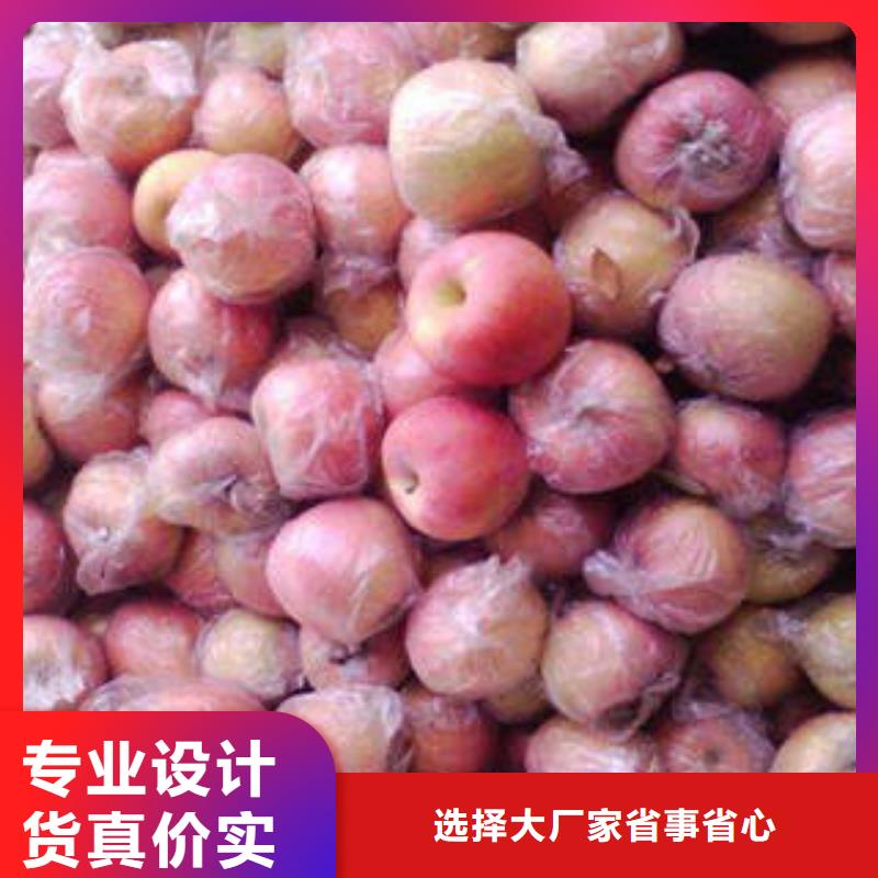 红富士苹果原厂制造