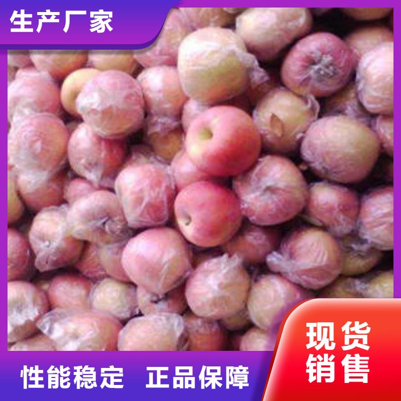 红富士苹果苹果批发好厂家有担当