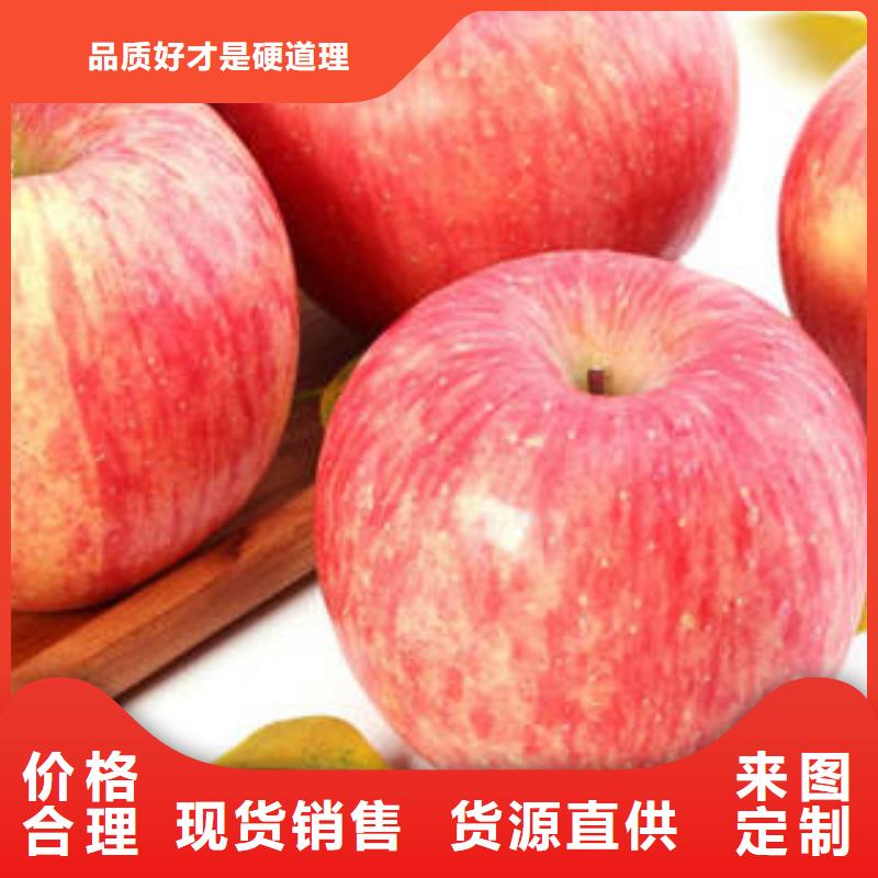 红富士苹果_苹果种植基地工期短发货快