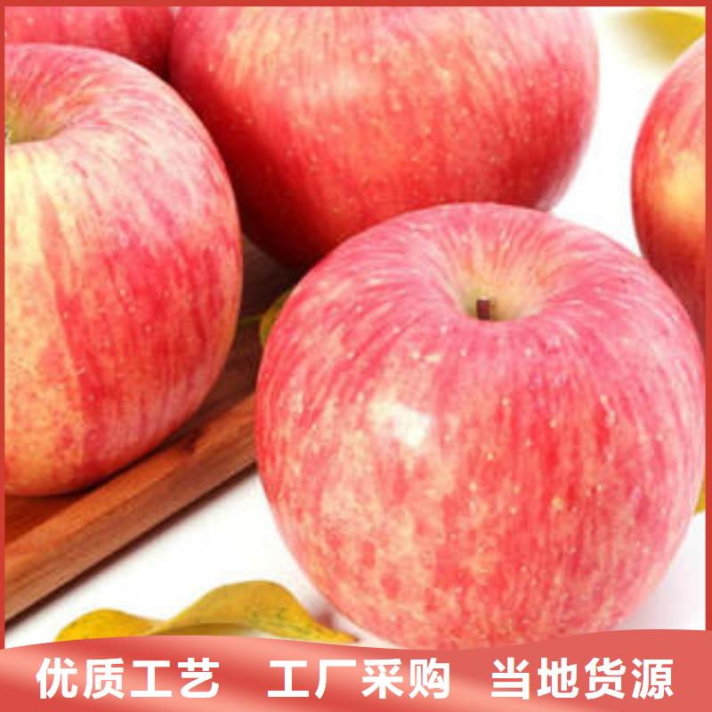 红富士苹果视频-黑龙江省佳木斯市|同江|东风|齐齐哈尔|大庆|牡丹江|哈尔滨|绥化|大兴安岭红富士苹果-景才