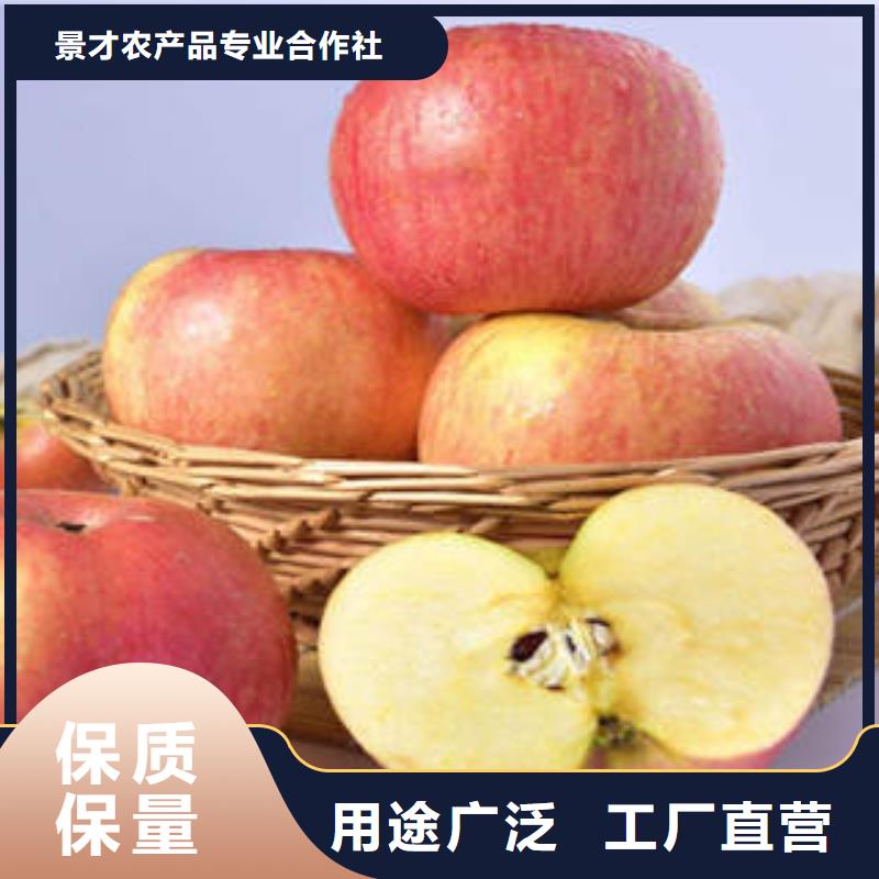 红富士苹果苹果种植基地厂家直销售后完善