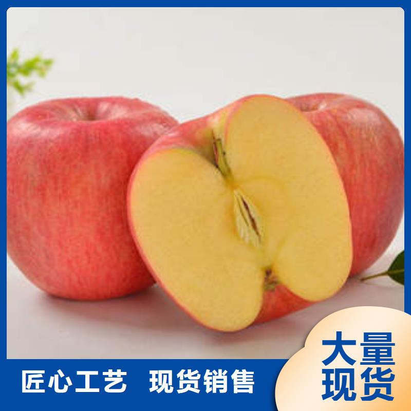 红富士苹果,嘎啦苹果工艺层层把关
