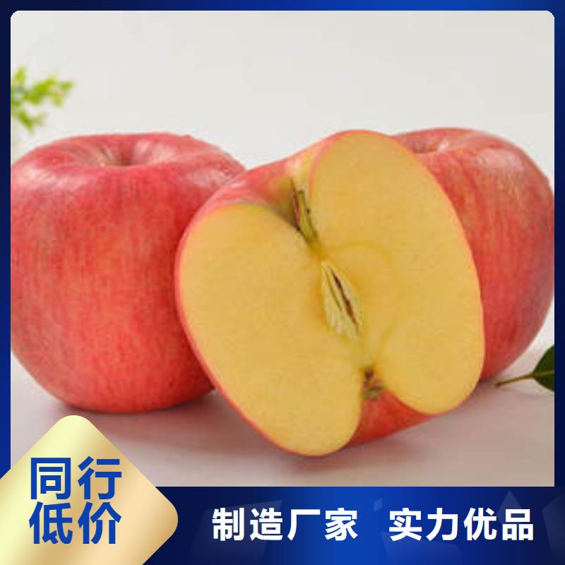 红富士苹果原厂制造