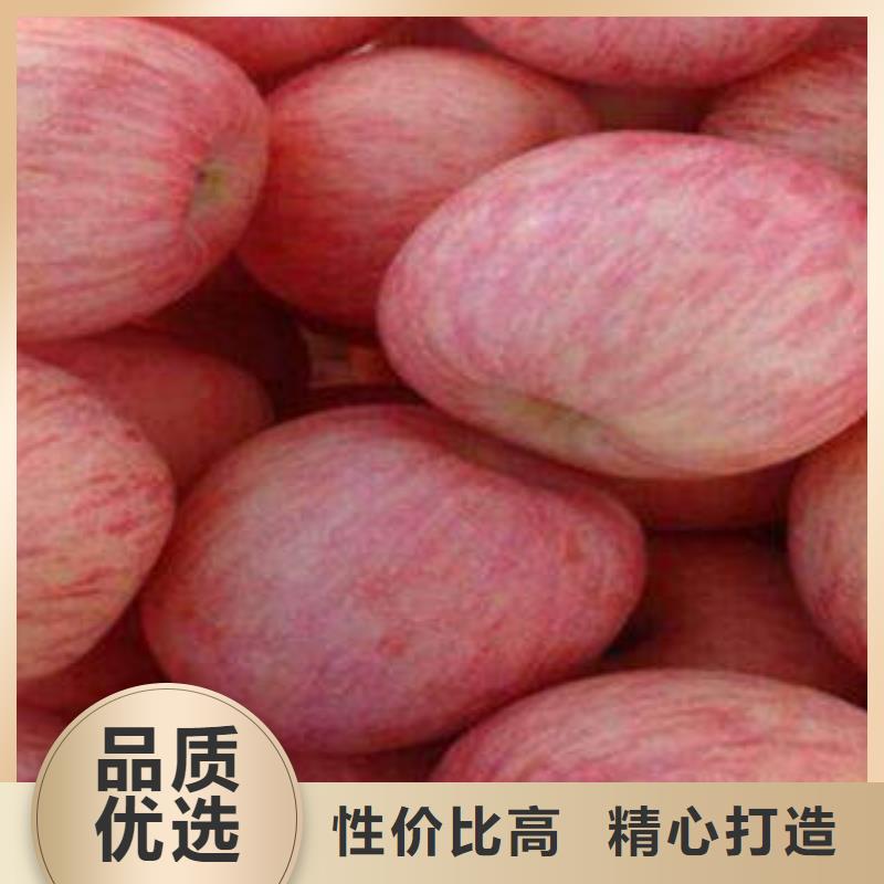 红富士苹果视频-山西省阳泉市|平定|盂县|晋中|朔州|长治|吕梁|晋城|太原红富士苹果-景才