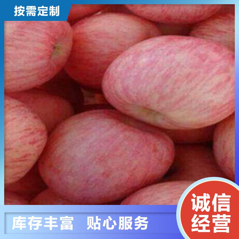 【红富士苹果苹果种植基地加工定制】