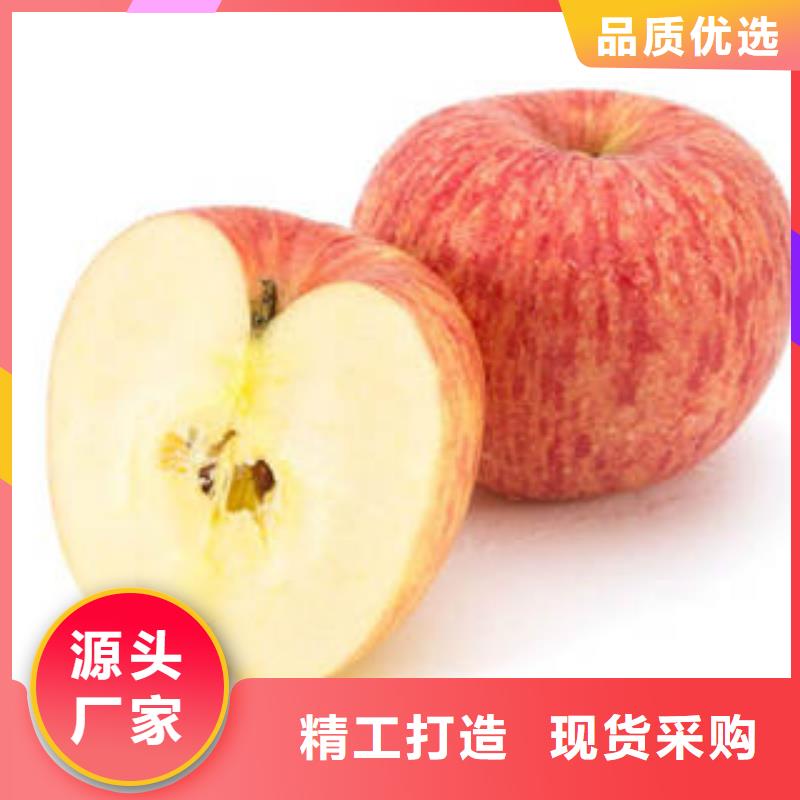红富士苹果视频-黑龙江省佳木斯市|同江|东风|齐齐哈尔|大庆|牡丹江|哈尔滨|绥化|大兴安岭红富士苹果-景才