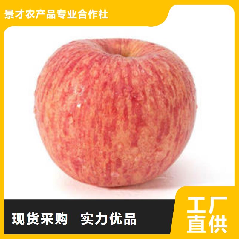 红富士苹果多行业适用