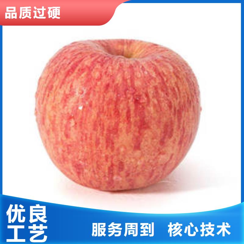 红富士苹果视频-黑龙江省佳木斯市|同江|东风|齐齐哈尔|大庆|牡丹江|哈尔滨|绥化|大兴安岭红富士苹果-景才