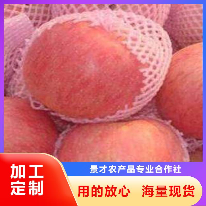 红富士苹果多行业适用