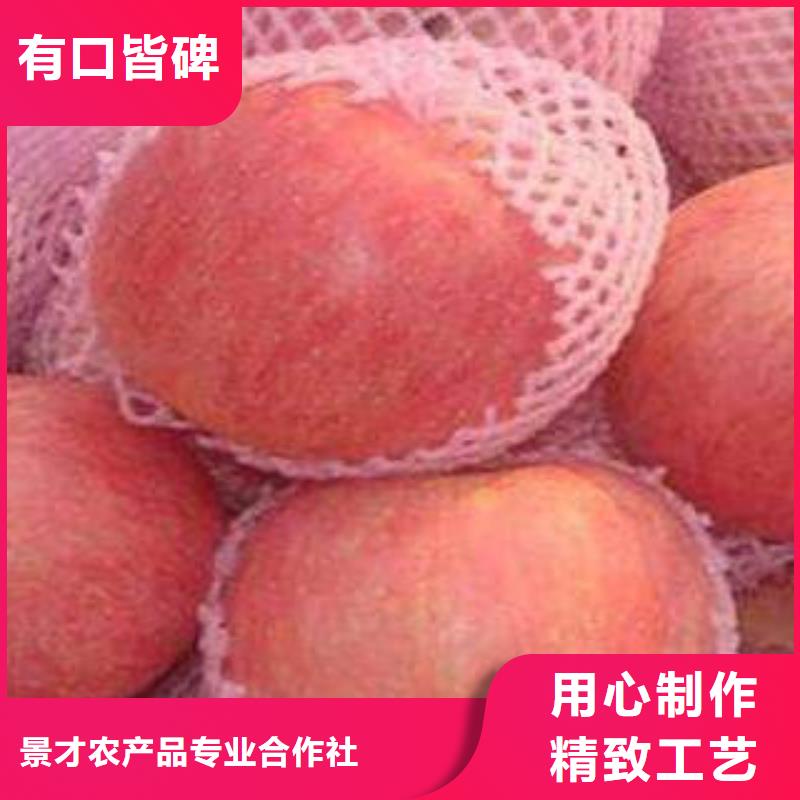 红富士苹果苹果种植基地品质过硬