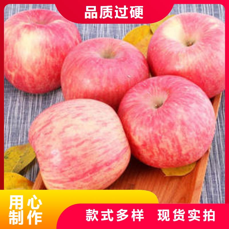 红富士苹果视频-山西省阳泉市|平定|盂县|晋中|朔州|长治|吕梁|晋城|太原红富士苹果-景才