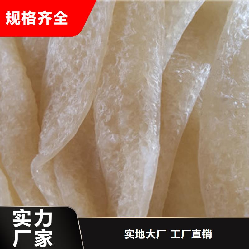 牛筋面机洗面筋机厂家实力雄厚