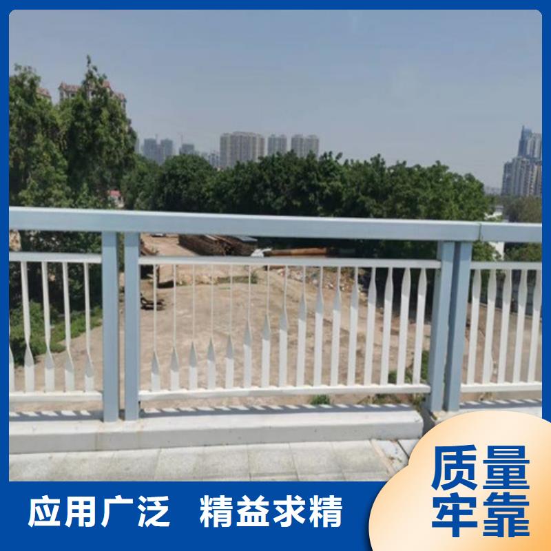 桥梁护栏-检票口隔离栏杆专业生产制造厂