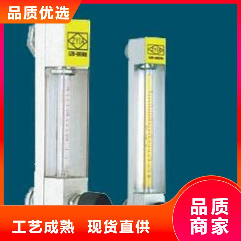 【瑞明】-|【DK800】 玻璃流量计出货快-瑞明仪表厂(银川分公司)