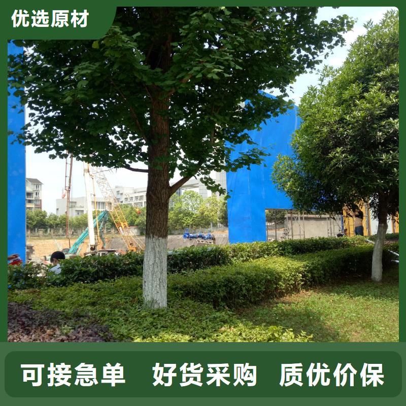 广告素材48小时发货