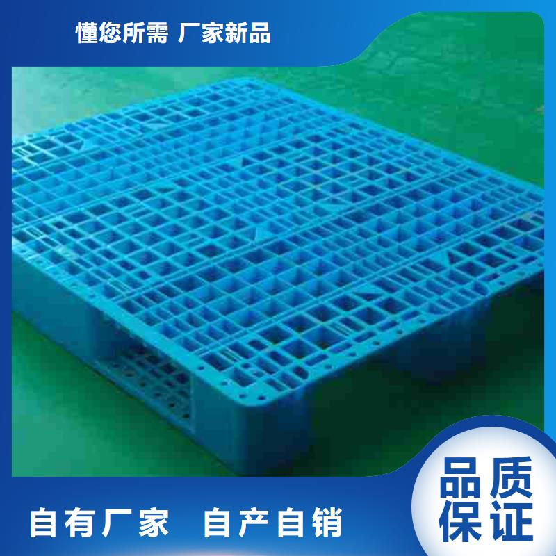 【塑料托盘塑料托盘工厂实力派厂家】
