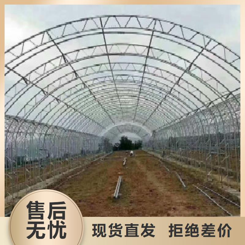 大棚管,D本地厂家值得信赖