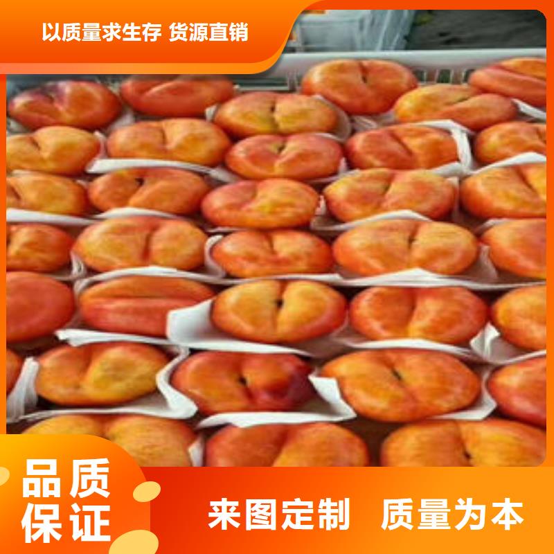 桃树苗_【梨树苗】对质量负责|-兴海苗木种植社(辽阳市分公司)