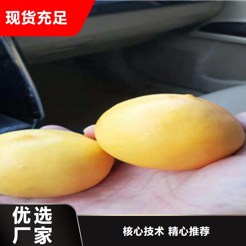 桃树苗蓝莓苗精心选材