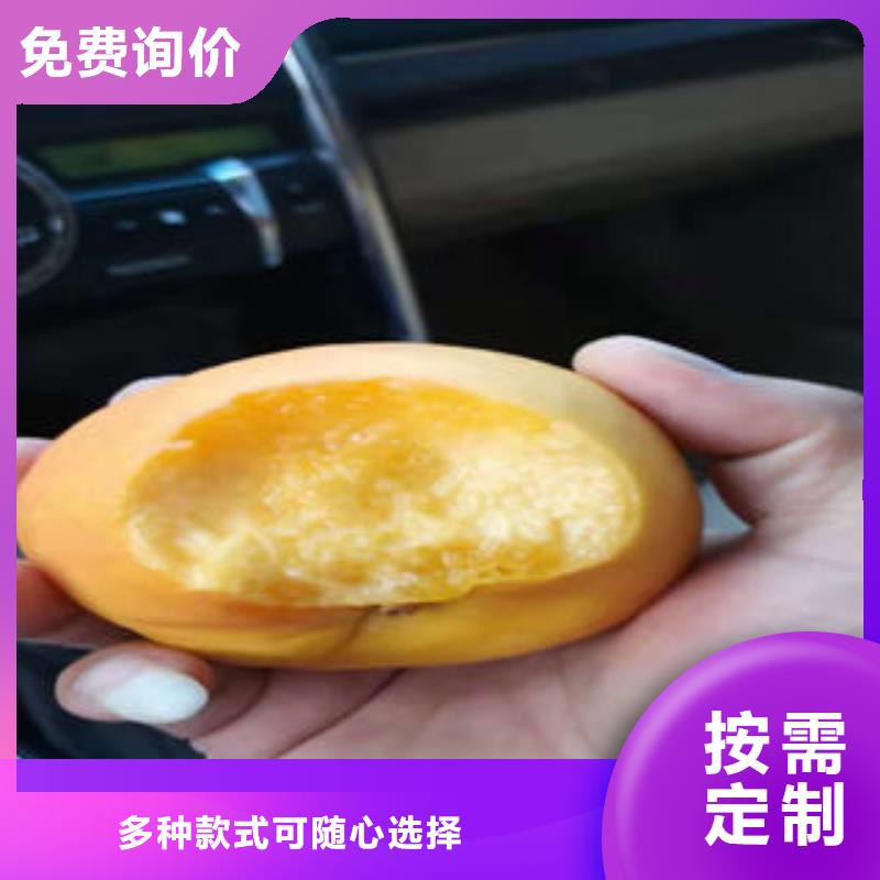 桃树苗,板栗苗实力厂家直销