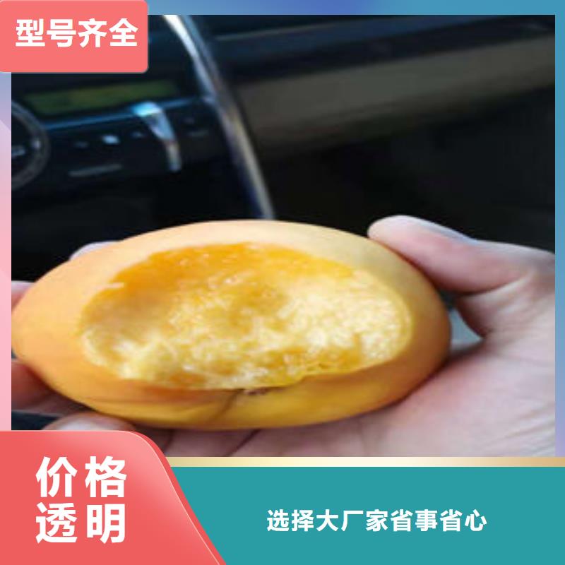 《兴海》-|秦皇岛|沧州|张家口|廊坊【桃树苗】_梨树苗用品质说话专注品质