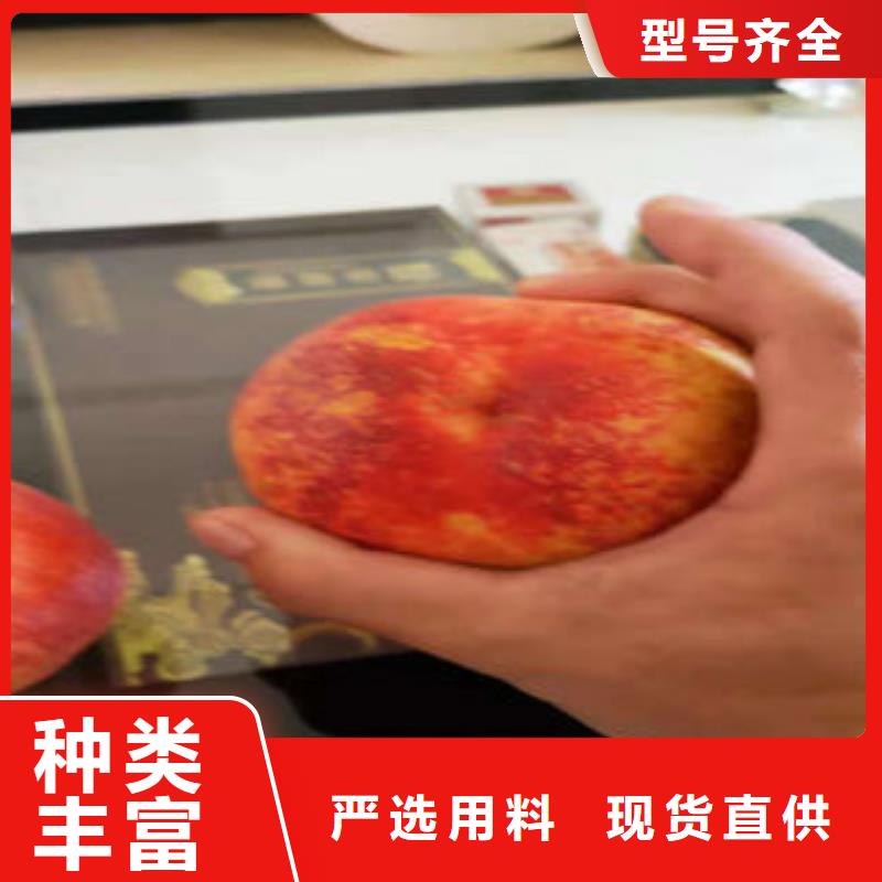 《兴海》-|秦皇岛|沧州|张家口|廊坊【桃树苗】_梨树苗用品质说话专注品质