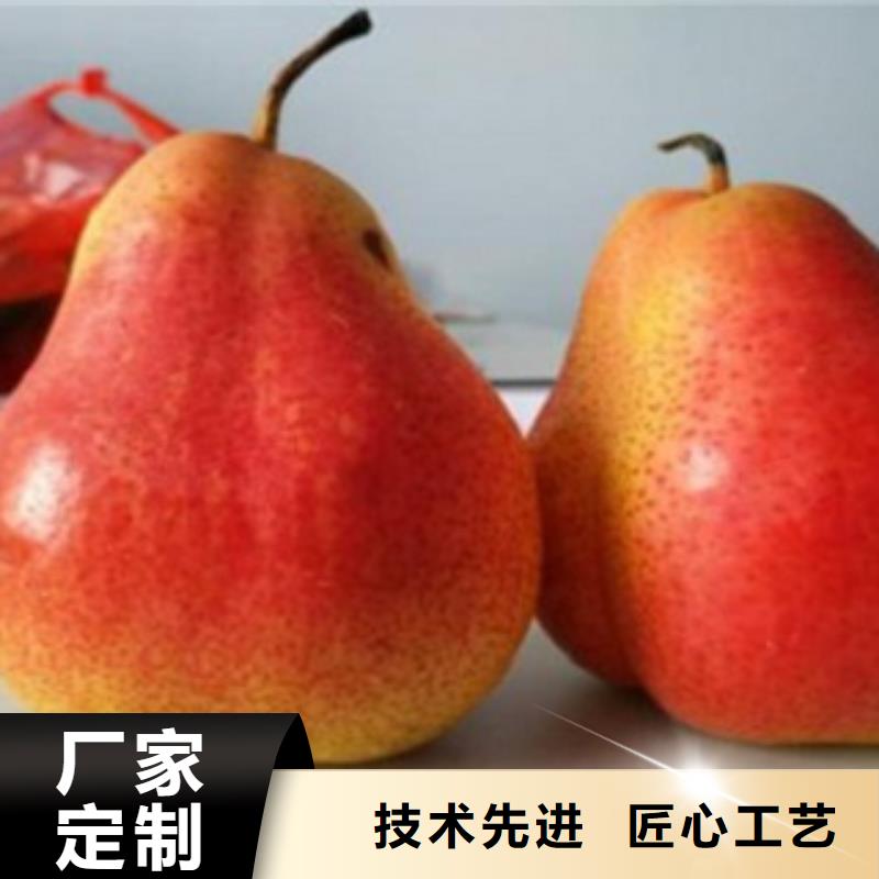 梨树苗,【花椒苗】通过检测