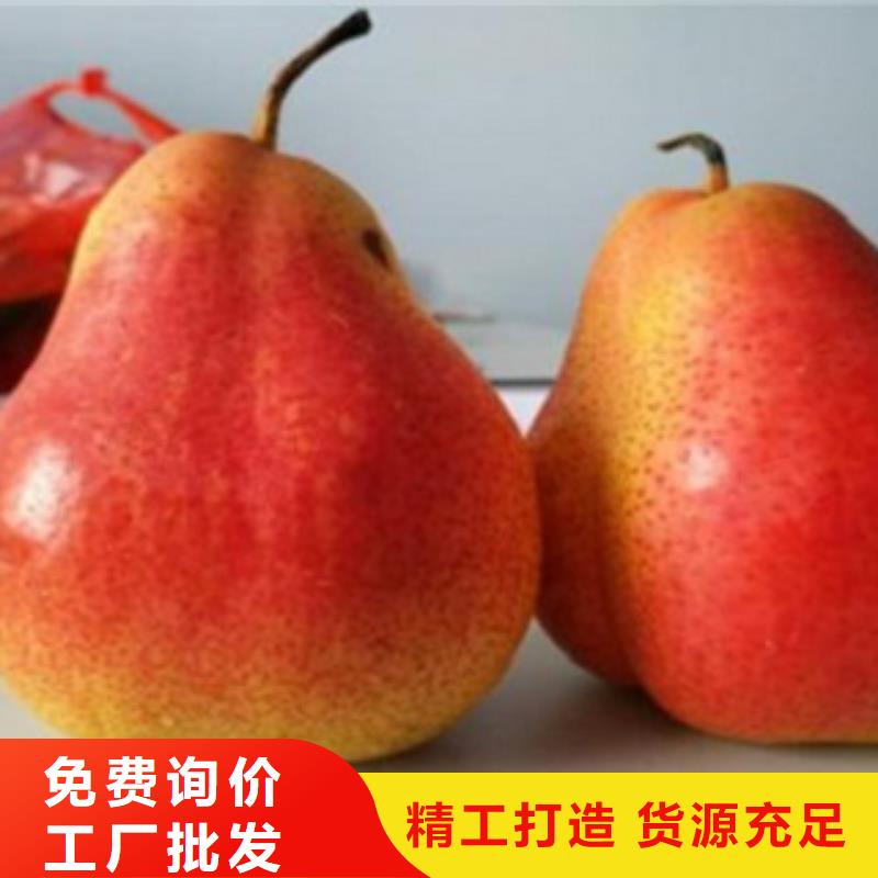 {兴海}瑞丽|陇川|保山|迪庆|曲靖|昆明|楚雄【梨树苗】,花椒苗发货及时供应商