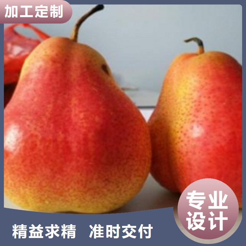 梨树苗蓝莓苗质检严格放心品质