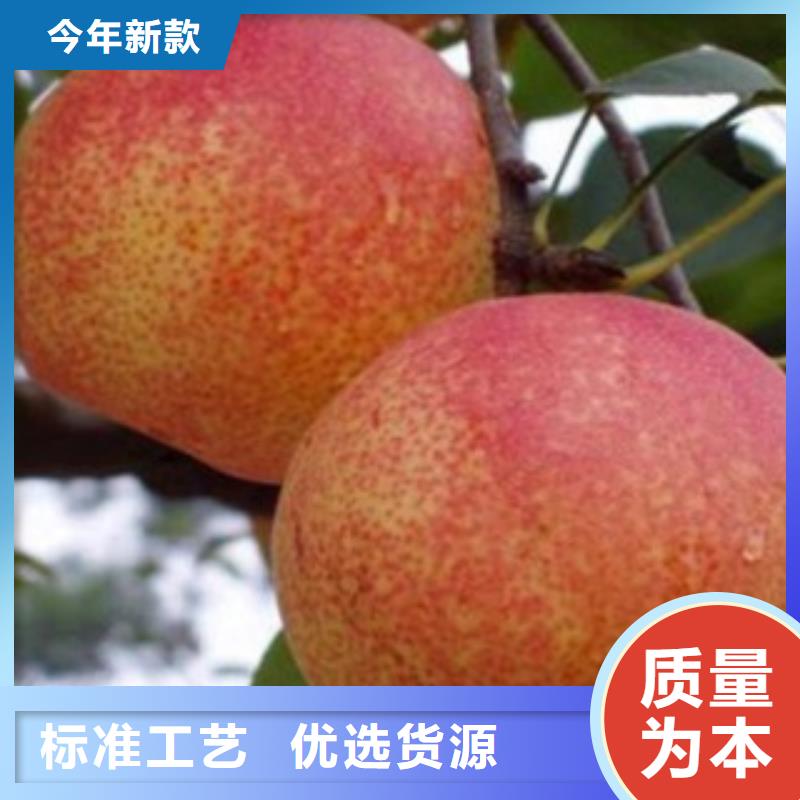 【 梨树苗 蓝莓苗交货准时】