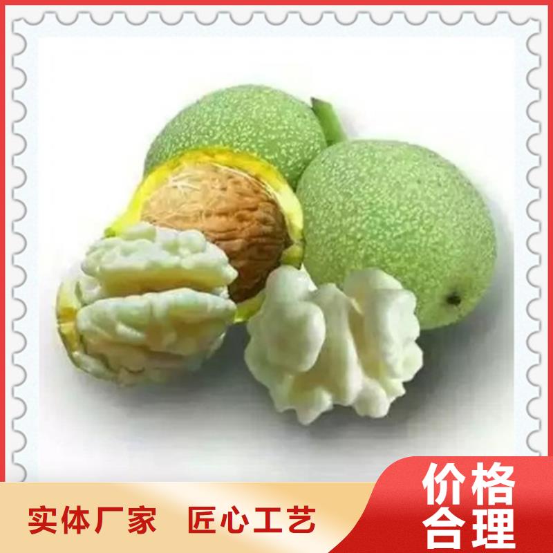 【核桃苗】李子苗源厂直接供货