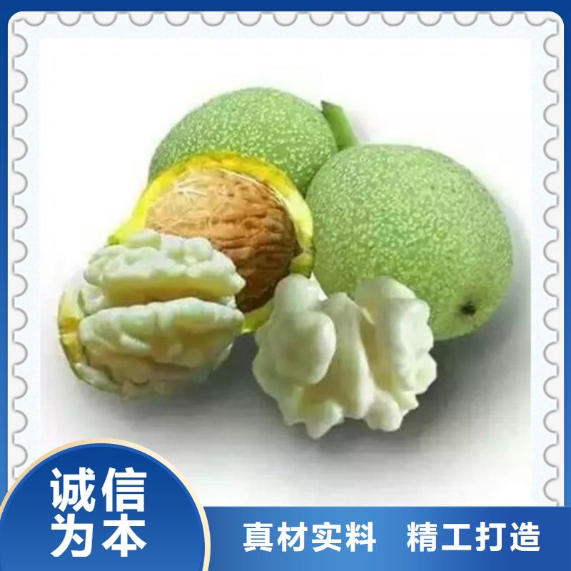 支持定制批发【核桃苗】_梨树苗工厂批发