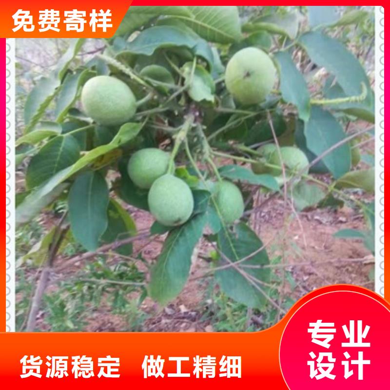 核桃苗_花椒苗品质做服务