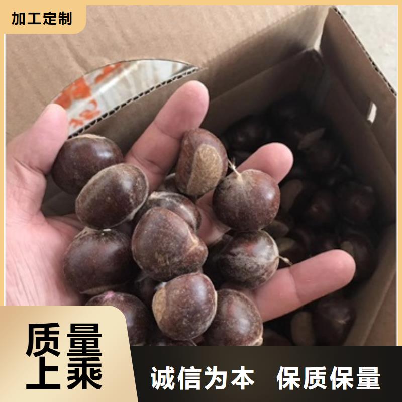 板栗苗【梨树苗】好产品放心购-兴海苗木种植社(遂宁市分公司)-快快发广告