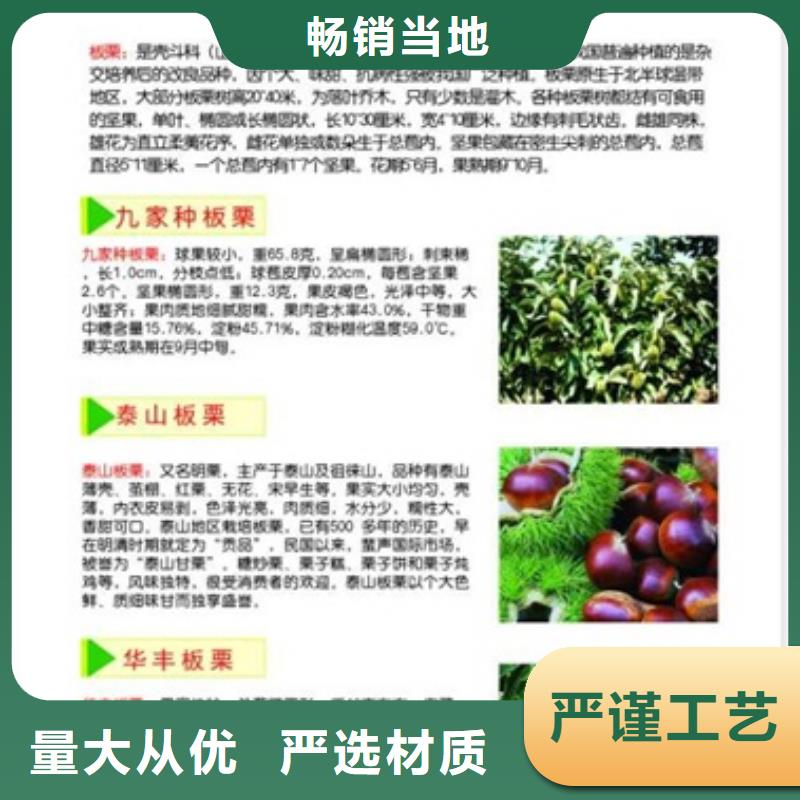 板栗苗【梨树苗】好产品放心购-兴海苗木种植社(遂宁市分公司)-快快发广告