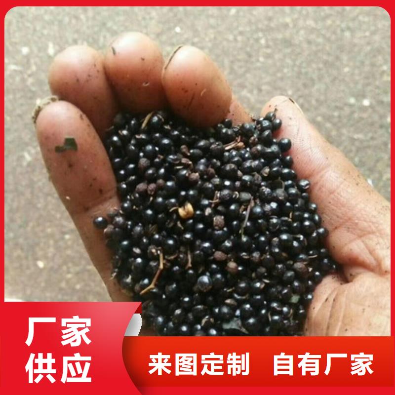 【花椒苗】-核桃苗质检严格放心品质-服务区域包括屏南|寿宁|福州|漳州|厦门|龙岩|莆田|泉州|南平等-产品视频