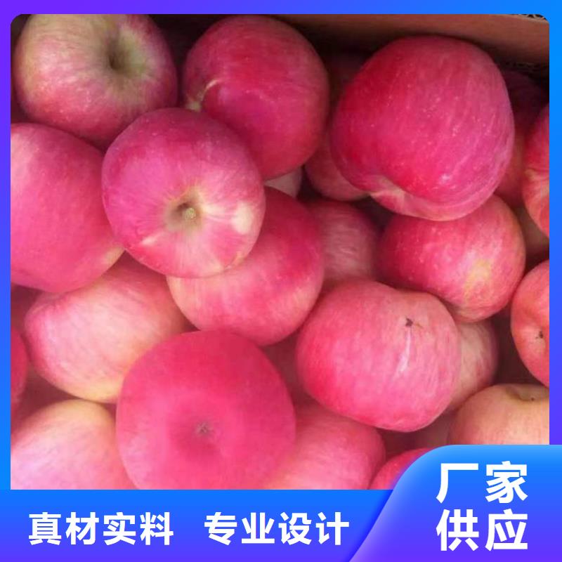 苹果苗板栗苗专注产品质量与服务