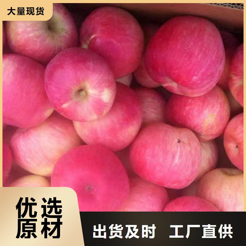 苹果苗板栗苗专注产品质量与服务