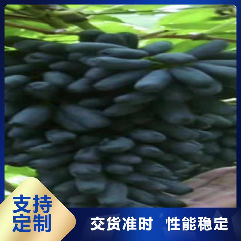 葡萄苗梨树苗多种工艺