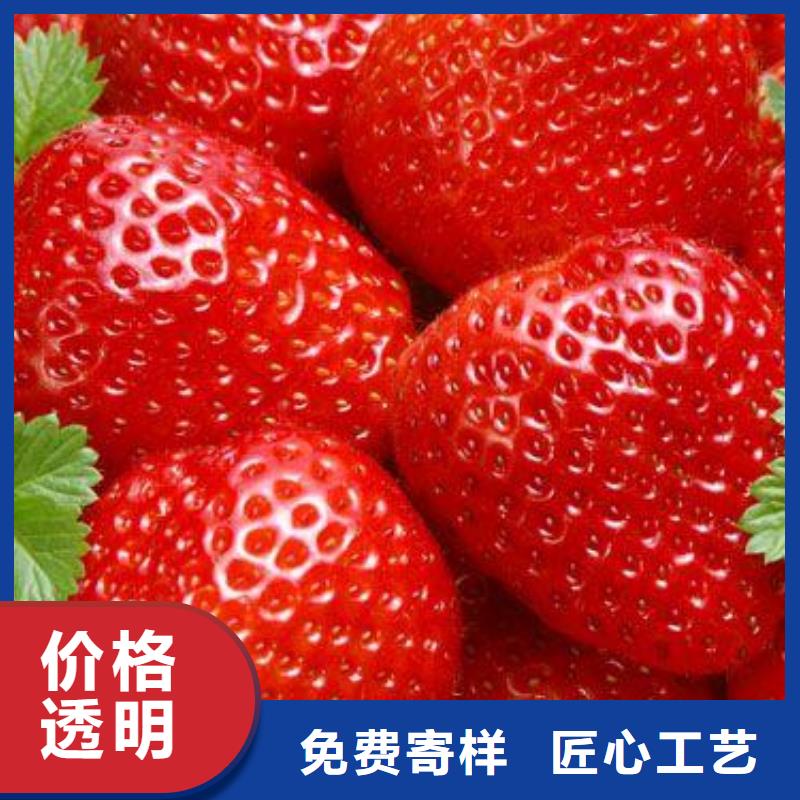 【 草莓苗 李子苗厂家十分靠谱】-兴海苗木种植社(临汾市分公司)
