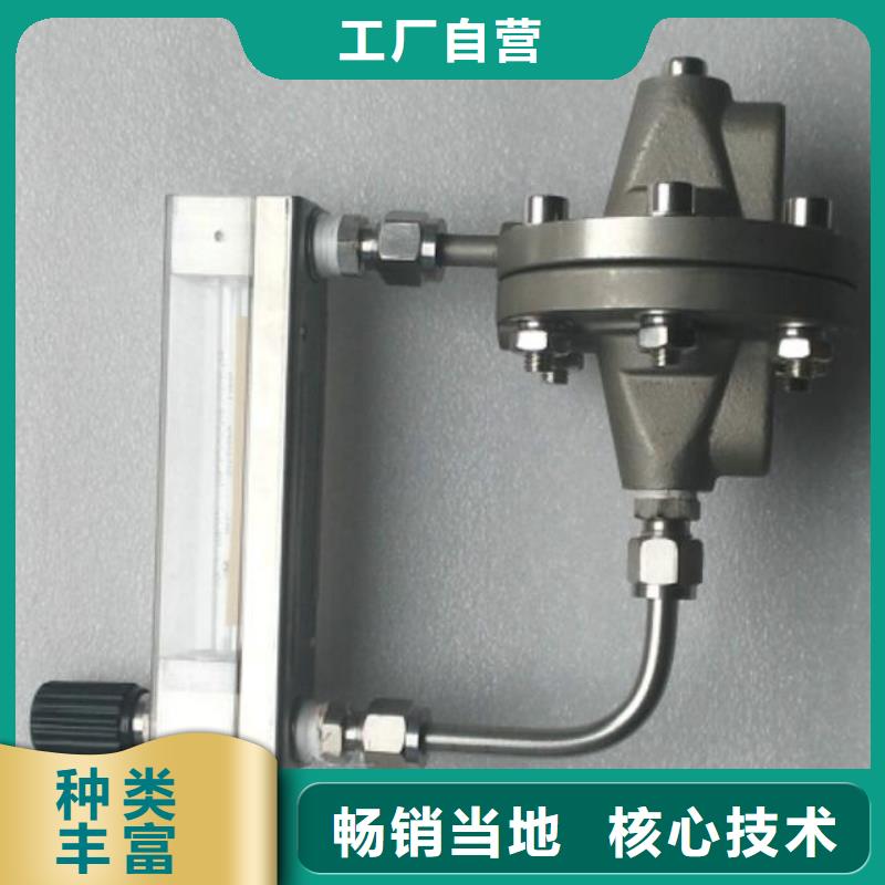 【 吹扫装置 金属转子流量计厂家直销放心】【伍贺】