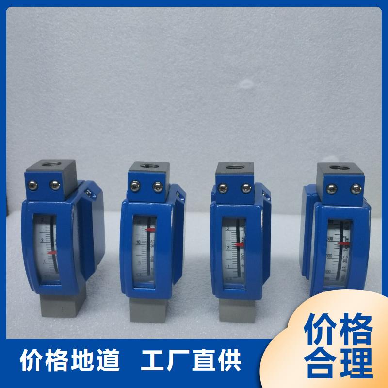 微小流量计吹扫装置无中间商厂家直销