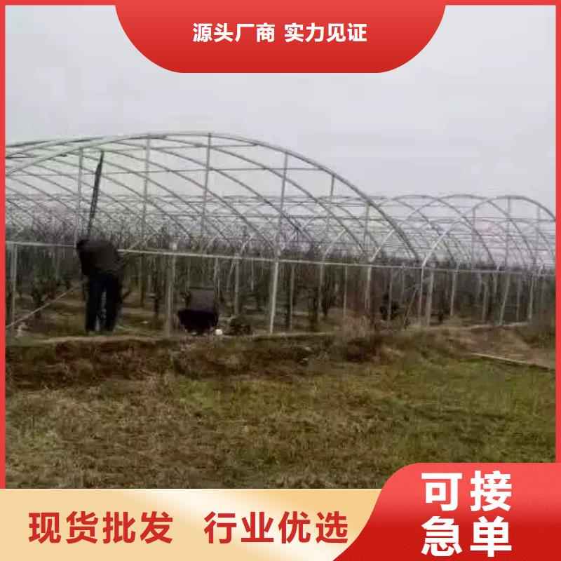 镀锌管材热镀锌角钢专业完善售后
