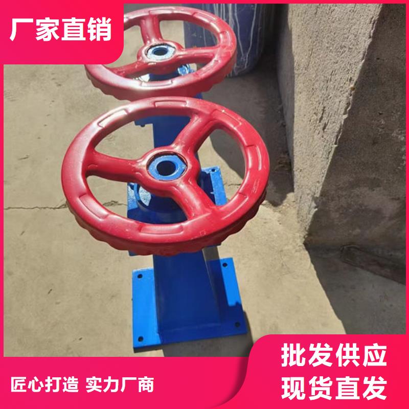 螺杆式启闭机_手摇启闭机品质保障售后无忧